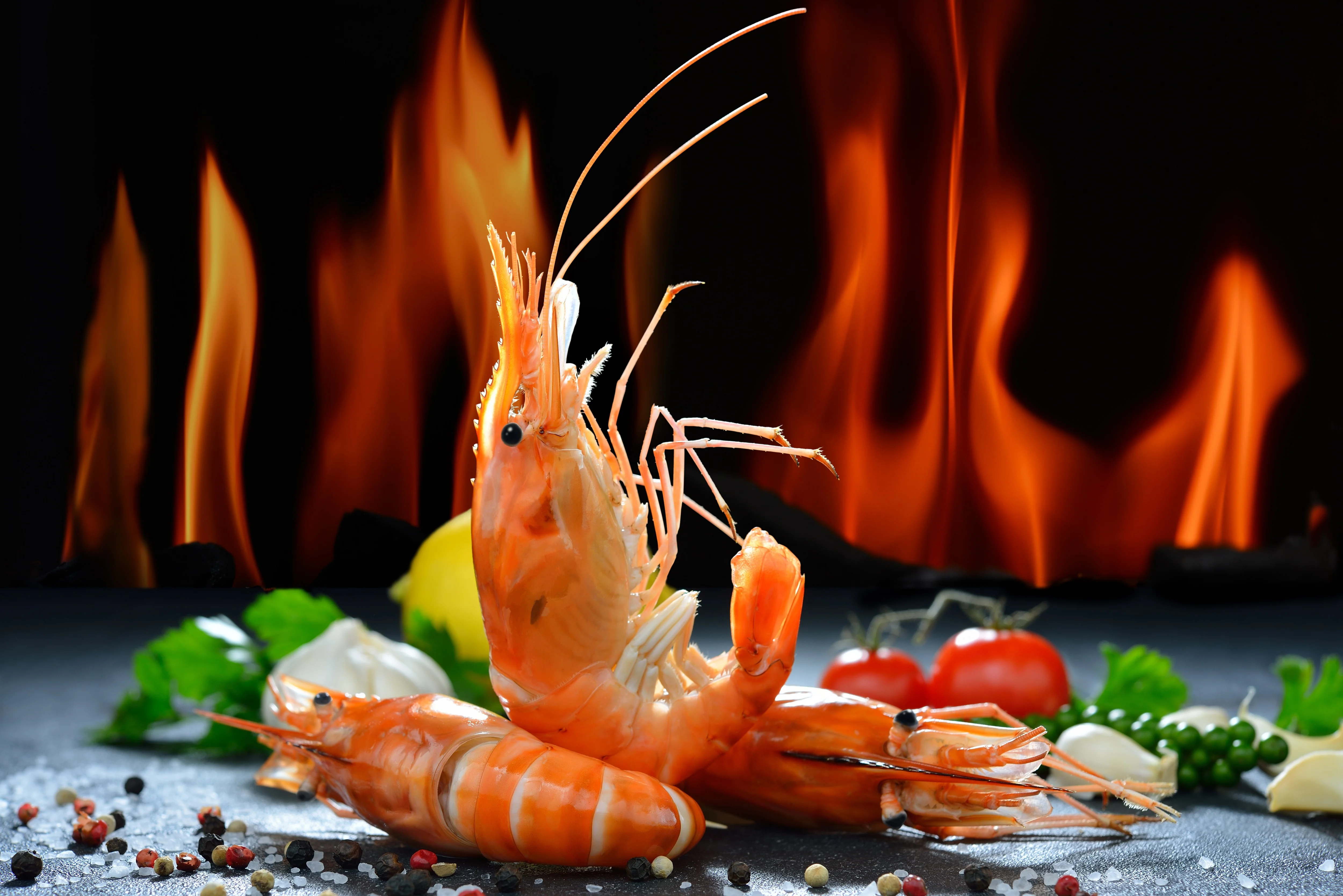 DrShrimpXSMP banner