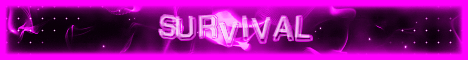 VexNetwork banner