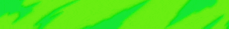 BakloliSmp  banner