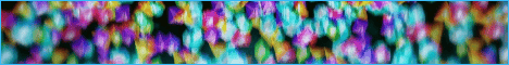 PeakSMP banner