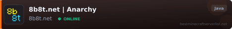 8b8t.net banner