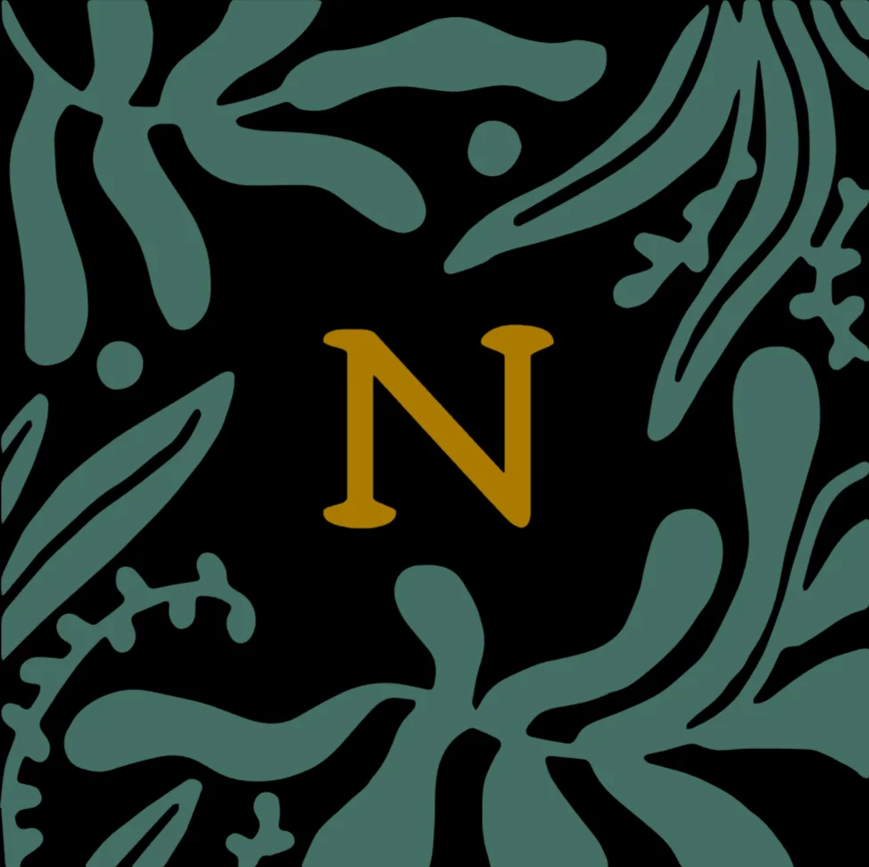 Novaria Minecraft server icon