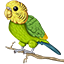 BudgieNet icon